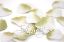 Picture of Silk Rose Petals Sage and White